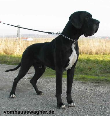 Verdi Von Der Ofneth�hle