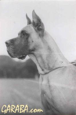 Bileneuve-hans De Garaba