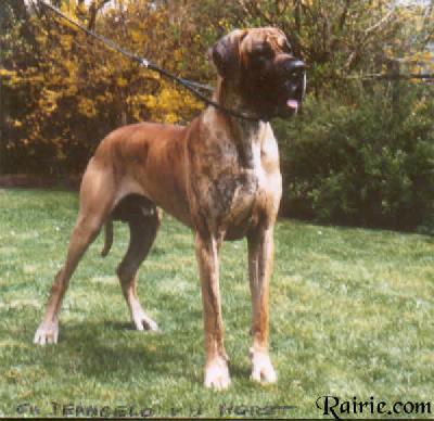 Deangelo Von Der Horst