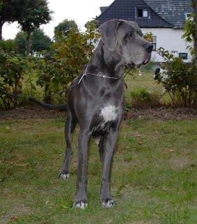 Raina Lisa Von Der Schlehhecke