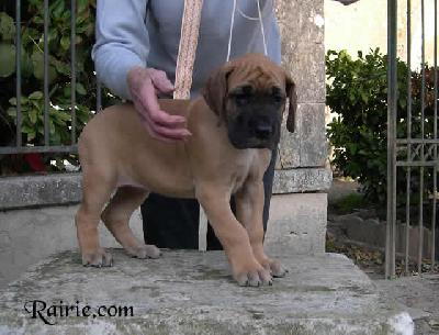 Ury Des Terres De La Rairie