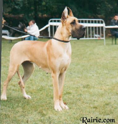 Legende Des Petites Vernieres