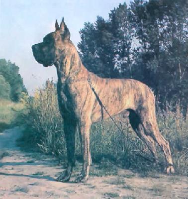 Makowiec Z Kuzni Napoleonskiej