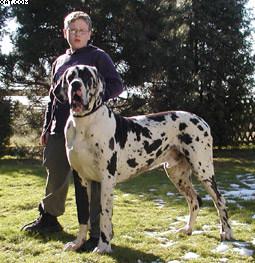 Floyd Vom Schlo� F�rstenberg