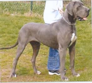 April Von Frauenberg