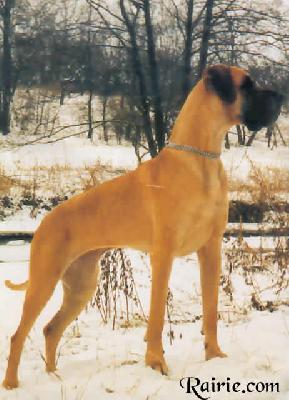 Franziska Vom Allertal