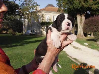 Ulzen Des Terres De La Rairie