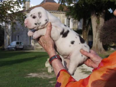 Unique Des Terres De La Rairie