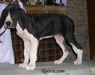 Unabella Des Terres De La Rairie