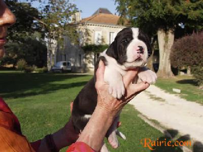 Unola Des Terres De La Rairie