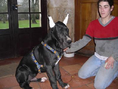 Ulysse Des Terres De La Rairie