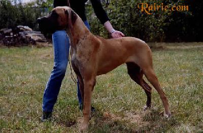 Too Much Des Terres De La Rairie