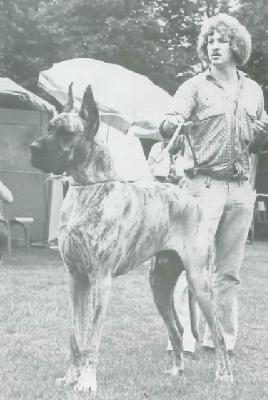 Ch Saphir Vom Klevchen