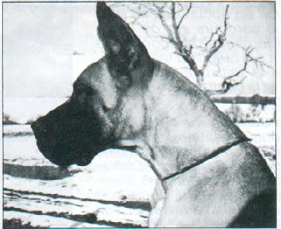 Athena Du Clos Templerie