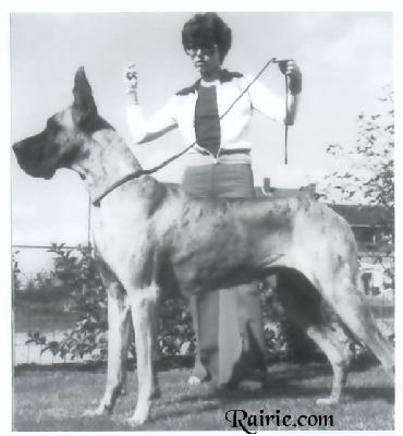 Jostra Von Der Schild-esche