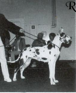 Cendy Von Herrenstriet