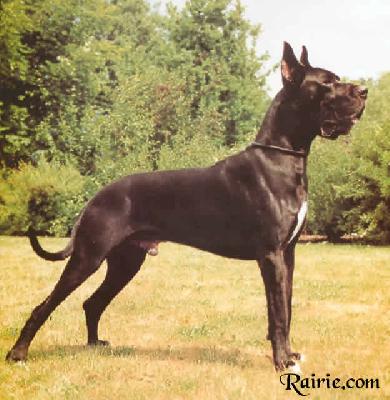 Clay Von Der Hochwiesen