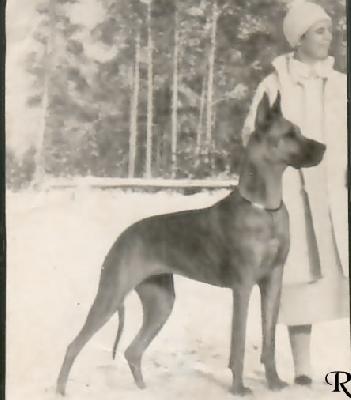 Ferguni Von Loheland