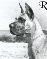 Bacchus Von Der Friedenseiche