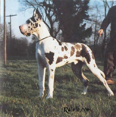 Ch Wangerooge Von Haus Fresena