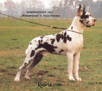 Ch Wangerooge Von Haus Fresena