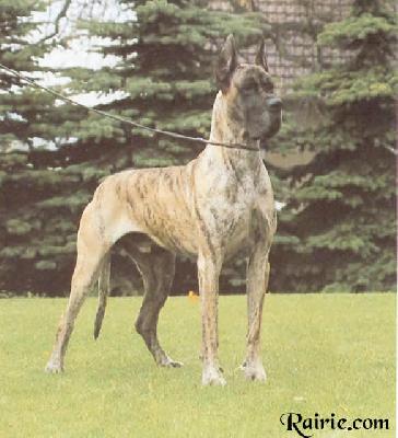 Bastian Von Bischofshagen