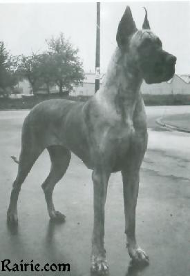 Taiga Von Der Ofnethohle