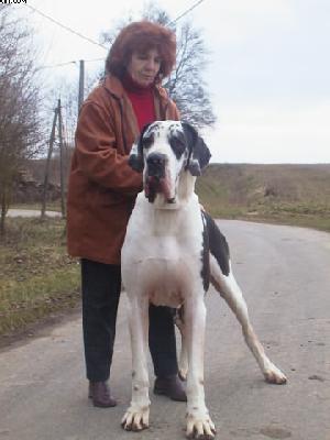 Alexeij Von Schlesien