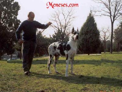 Orore-boreale De La Mourre Frais