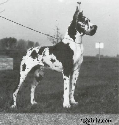 Nurmi Von Der Eremitage