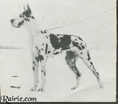 Atlanta Von Der Diana Ruh