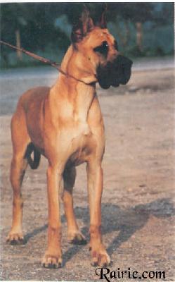 Vera Des Terres De La Rairie