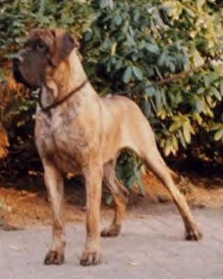 Heitok Doro Villaggio