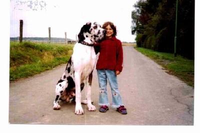 Aron Von Der Seligenstadt