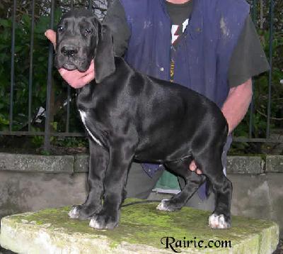 Ulouw Des Terres De La Rairie