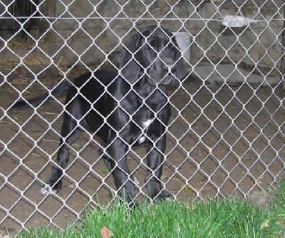 Ulouw Des Terres De La Rairie