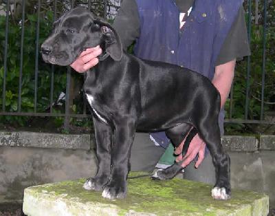 Ulouw Des Terres De La Rairie