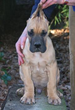 Uto Des Terres De La Rairie