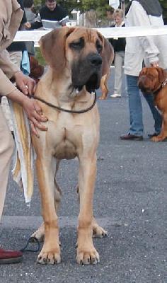 Undieu Des Terres De La Rairie