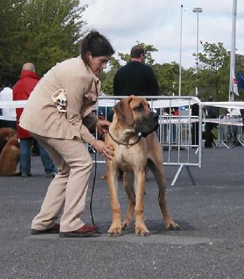 Undieu Des Terres De La Rairie