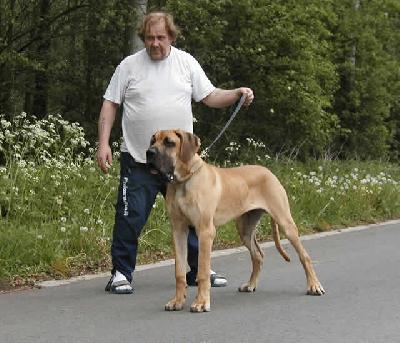 Undieu Des Terres De La Rairie