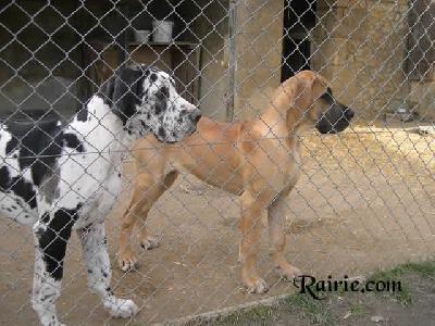 Utsing Des Terres De La Rairie