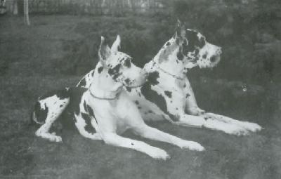 Frank Von Schloss Laupheim