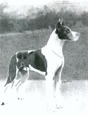 Ador Viktoria