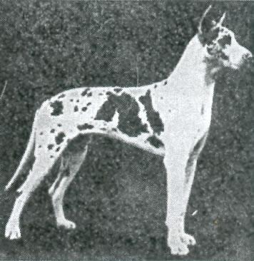 Ajax Von Klausenburg