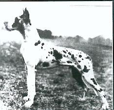 Landorii Von St Magn Obertraubling