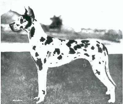 Bella Von Nurburgring