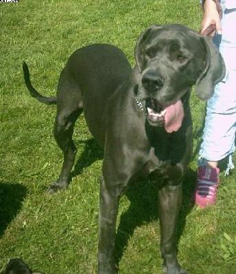 Nohly Von Der Bocksleite