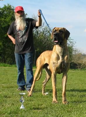 Carvajal Von Den Raubrittern