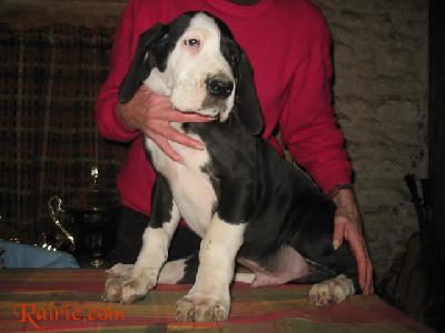 Univers Des Terres De La Rairie